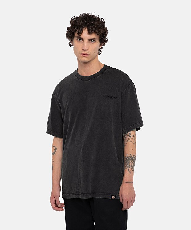 Мужская футболка Dickies Plentywood