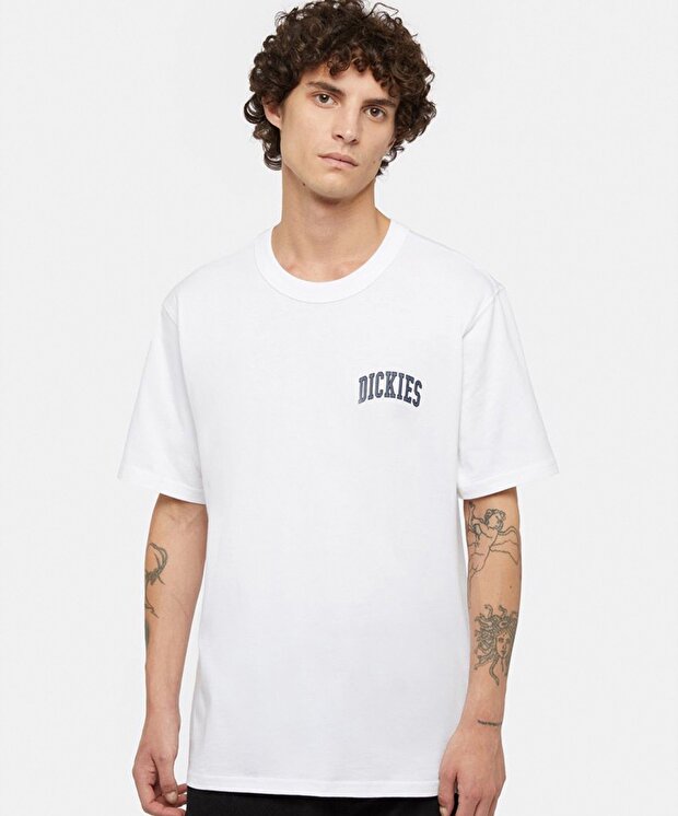Мужская футболка Dickies Aitkin Chest