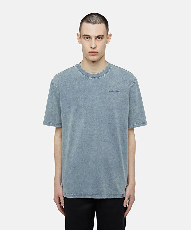 Мужская футболка Dickies Plentywood