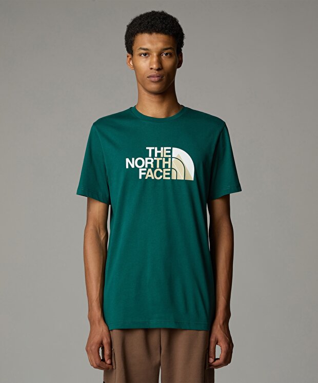 Мужская футболка The North Face M Biner Graphic 1 Tee