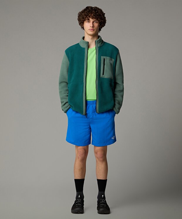 Мужские шорты The North Face M Water Short Eu