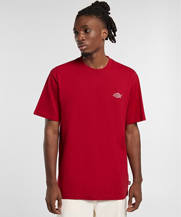 Мужская футболка Dickies Summerdale