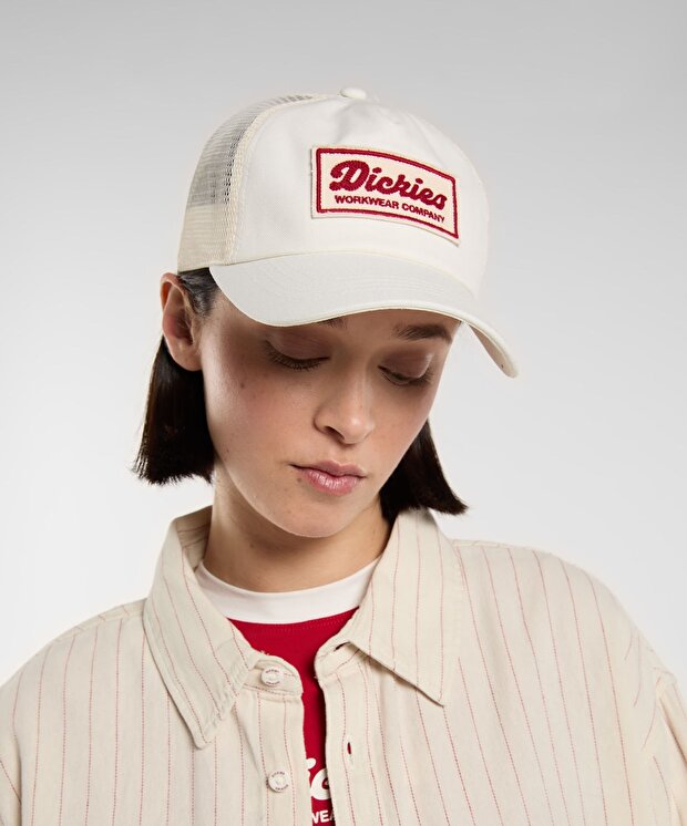 Мужская кепка Dickies Lewistown Trucker