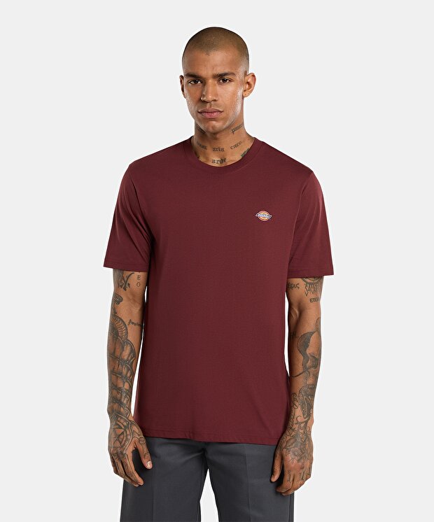 Мужская футболка Dickies Mapleton