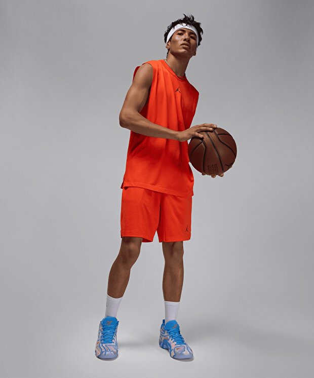 Мужские шорты Jordan Sport Dri-FIT Mesh Shorts