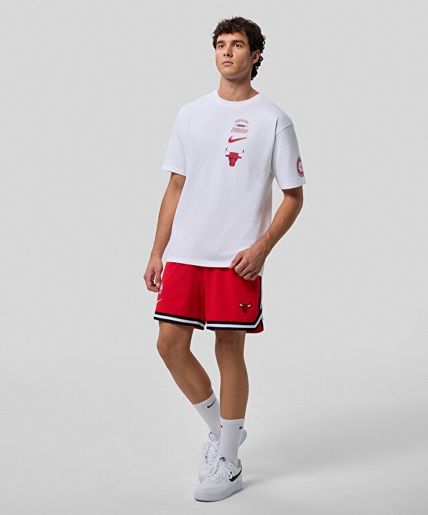 Мужские шорты Nike Chicago Bulls DNA Dri-FIT 6 Shorts