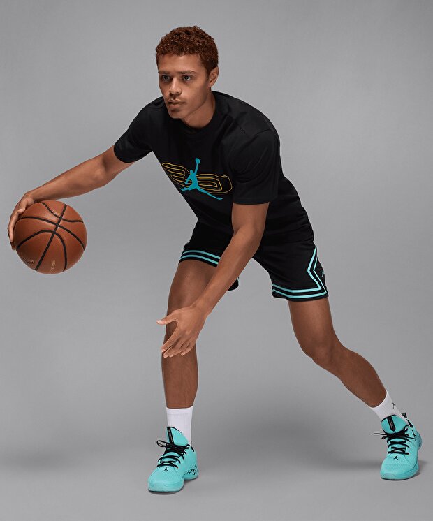 Мужские шорты Jordan Sport Dri-FIT Mesh Diamond Shorts