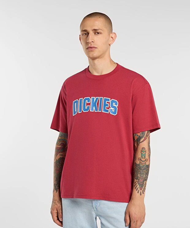 Мужская футболка Dickies Aitkin