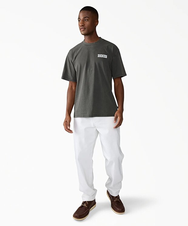 Мужская сумка Dickies Wellsville Baggy Tapered Twill Pant