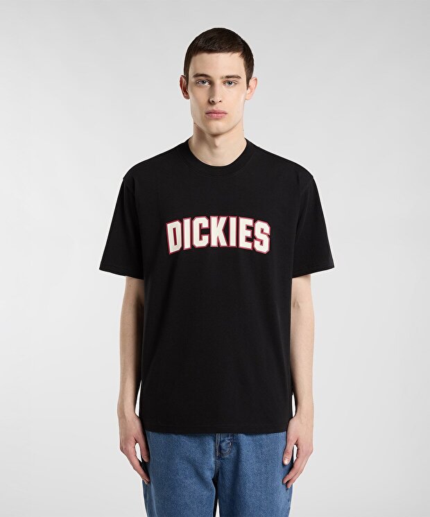 Мужская футболка Dickies Aitkin