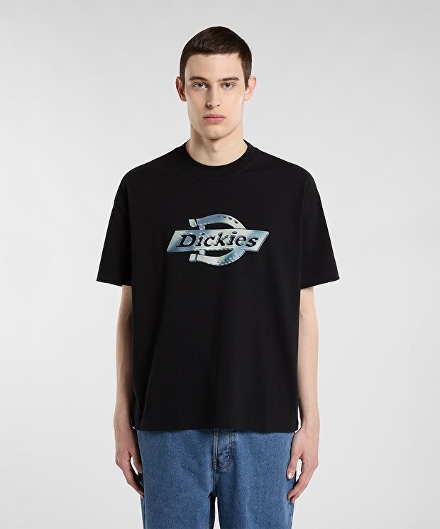 Мужская футболка Dickies Rarden